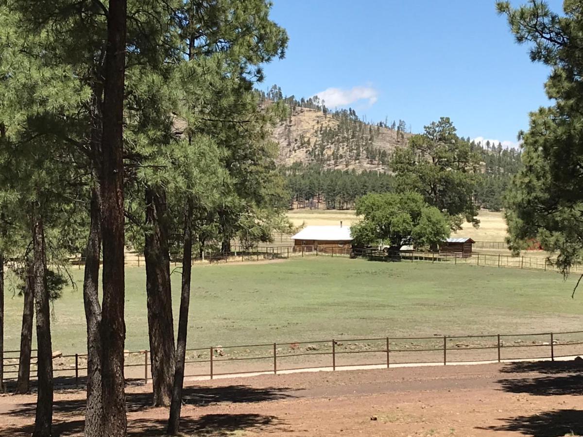Grand Canyon 1Bd Loft/Suite-Horseback Riding-Shooting-Dogs Ok! Parks Esterno foto