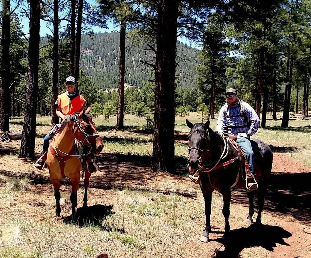 Grand Canyon 1Bd Loft/Suite-Horseback Riding-Shooting-Dogs Ok! Parks Esterno foto