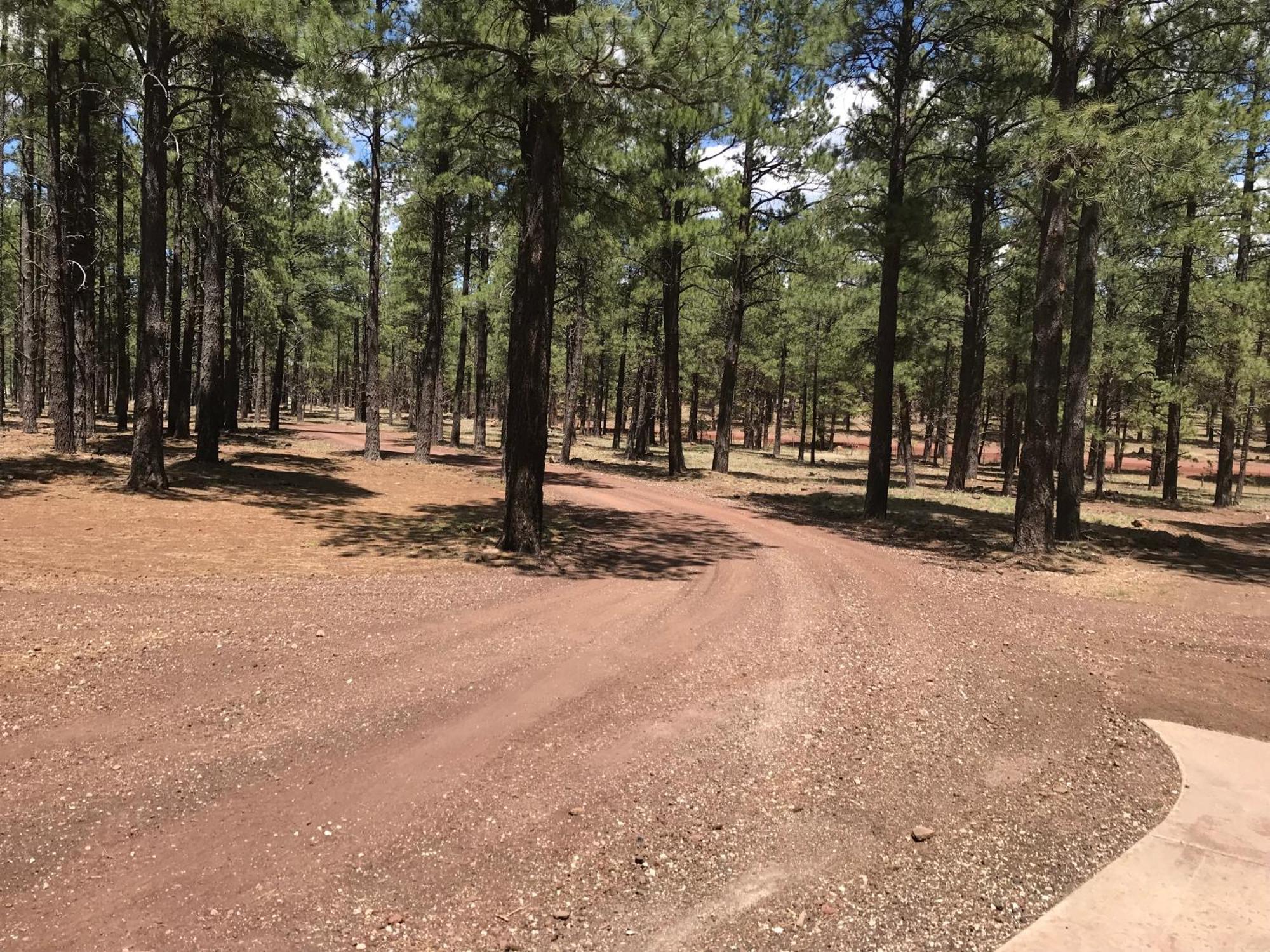 Grand Canyon 1Bd Loft/Suite-Horseback Riding-Shooting-Dogs Ok! Parks Esterno foto